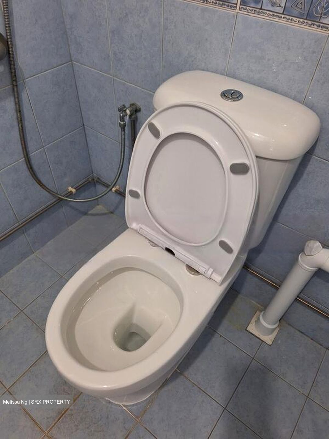 Blk 204 Boon Lay Gardens (Jurong West), HDB 5 Rooms #551729471